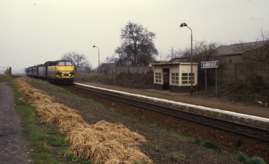 Bambrugge - TH 84-3106.jpg